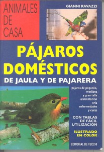 imagens partilhadas 026