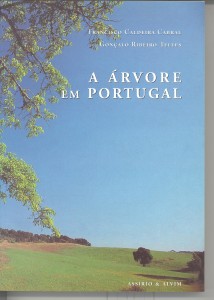 imagens-partilhadas-006